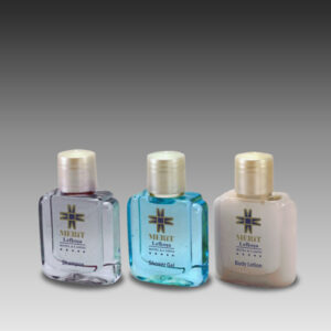 Boş Şişe Büyük ve Kapak 038